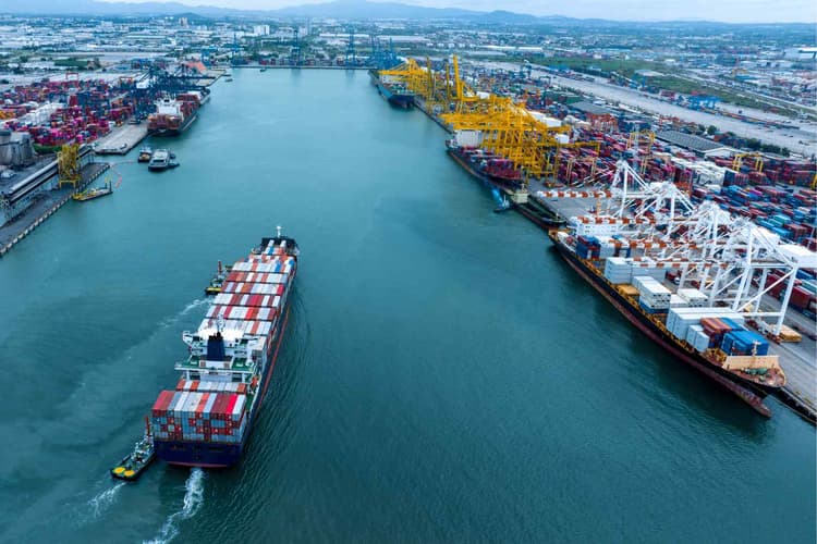 Lid van de Adviesraad voor Freight Forwarding Organisatie
